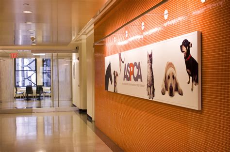 aspca headquarters|Contact Us .